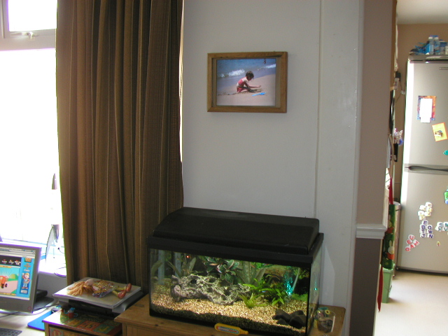 Installation complete!